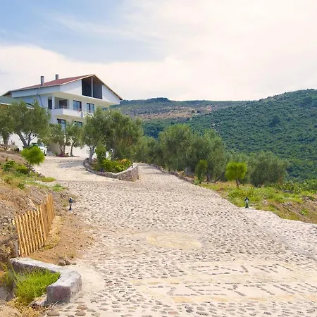 Evim Zeytinlik * Gulpinar