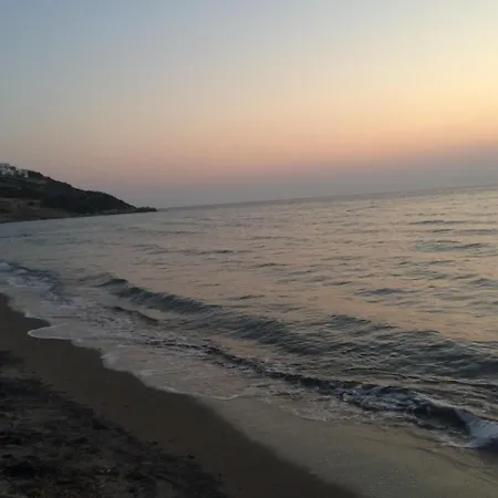 Evim Zeytinlik * Gulpinar